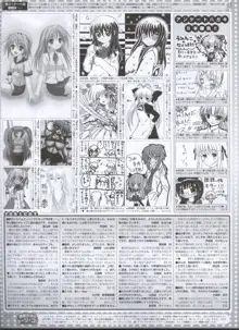 Dengeki 2008-06, 日本語