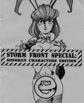 Storm Front Special - SonoKen Characters Edition, English