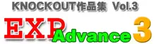 EXP Advance Vol 3, 日本語