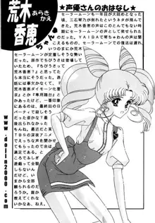 Bishoujo S Ichi - Sailor Chibimoon, English