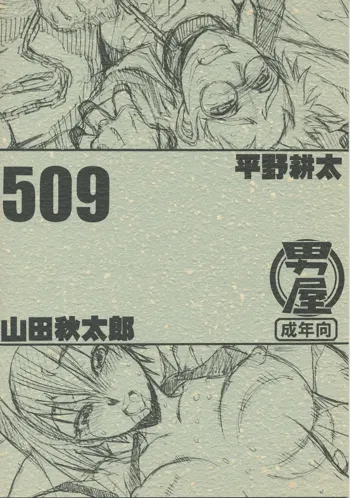 509, 日本語