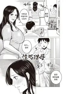 Chibo Soukan - Nasty mother Incest, 한국어
