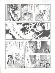 PUSSY-CAT vol.26 セーラームーン3, 日本語