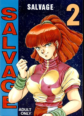 SALVAGE 2, 中文