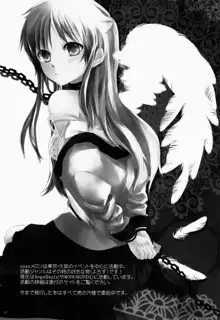Angel Slave, 日本語