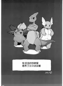 Pokemon Kairaku Ochi ♂3, 中文