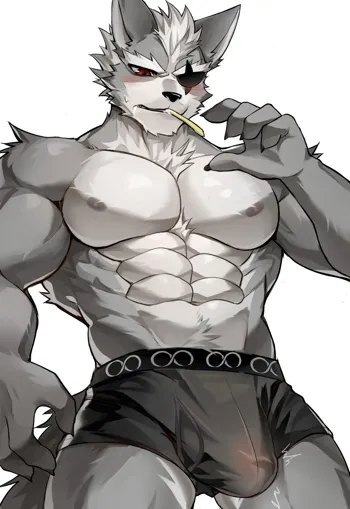Wolf O'Donnell, 日本語