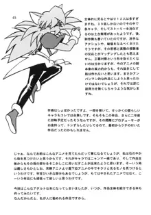 HELP MEニャンマー様vol.2, 日本語