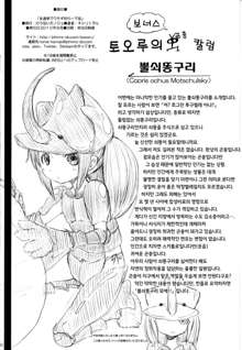 Eientei de Usagi Gari ~Kagen~ | 영원정에서 토끼 사냥 ~하현~, 한국어