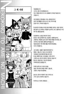 Nekokino to Ame no Machi - Cat Mushroon Girl And Town of Rain, 한국어