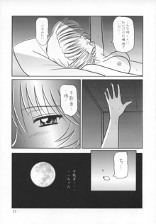 月の小夜曲, 日本語