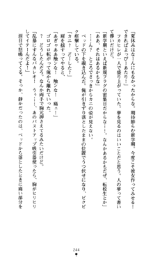 つよきすアナザーストーリー おとなごみと猫姫と小さな乙女さんの場合, 日本語
