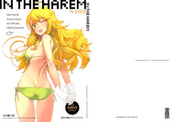 IN THE HAREM A SIDE (decensored), English