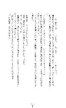 白百合の剣士 ～仮面姫ブリジット～, 日本語
