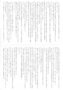 幻想郷ベビーブーム～妊娠ファンタスティカAPPEND～, 日本語