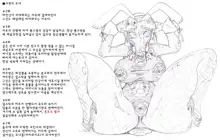 적을 쓰러 뜨려도 저주가 풀리지 않는 마법 소녀 방송 후 방송에 대한 망상, 한국어