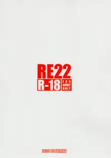 RE22, 中文