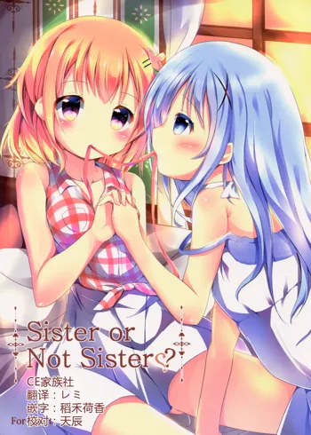 Sister or Not Sister??, 中文
