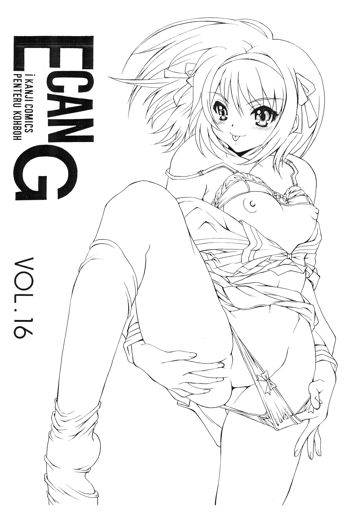 E can G vol.16, 日本語