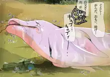 【カニ】海豚の数奇な運命, 日本語